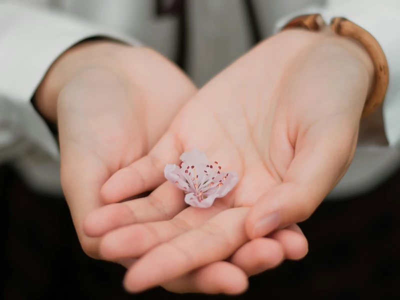 Blüte in zwei aufeinanderliegenden Handflächen